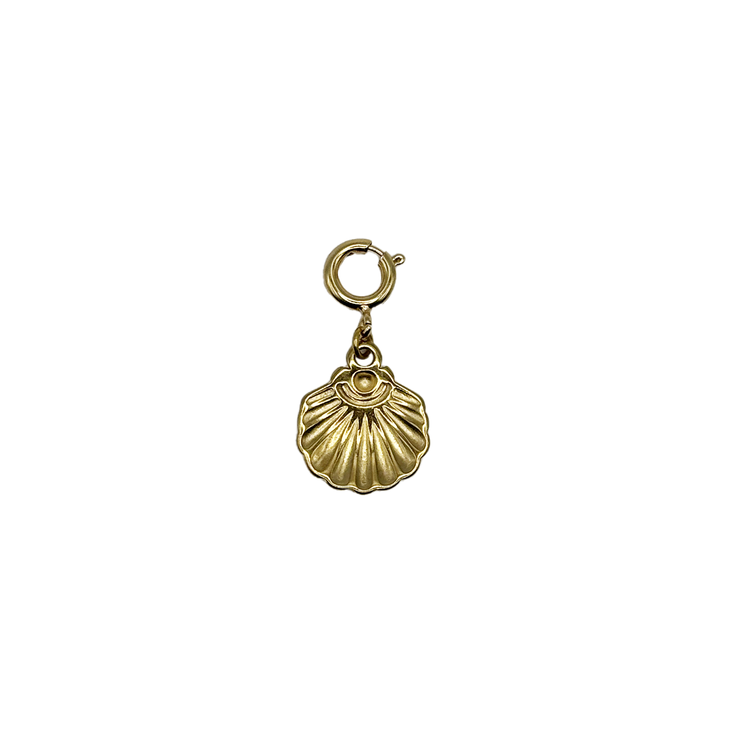 Charm Coquillage Dos Dore
