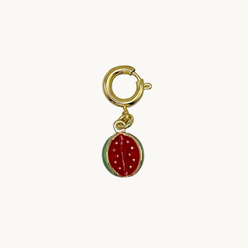 LUCKY CHARMS - Watermelon