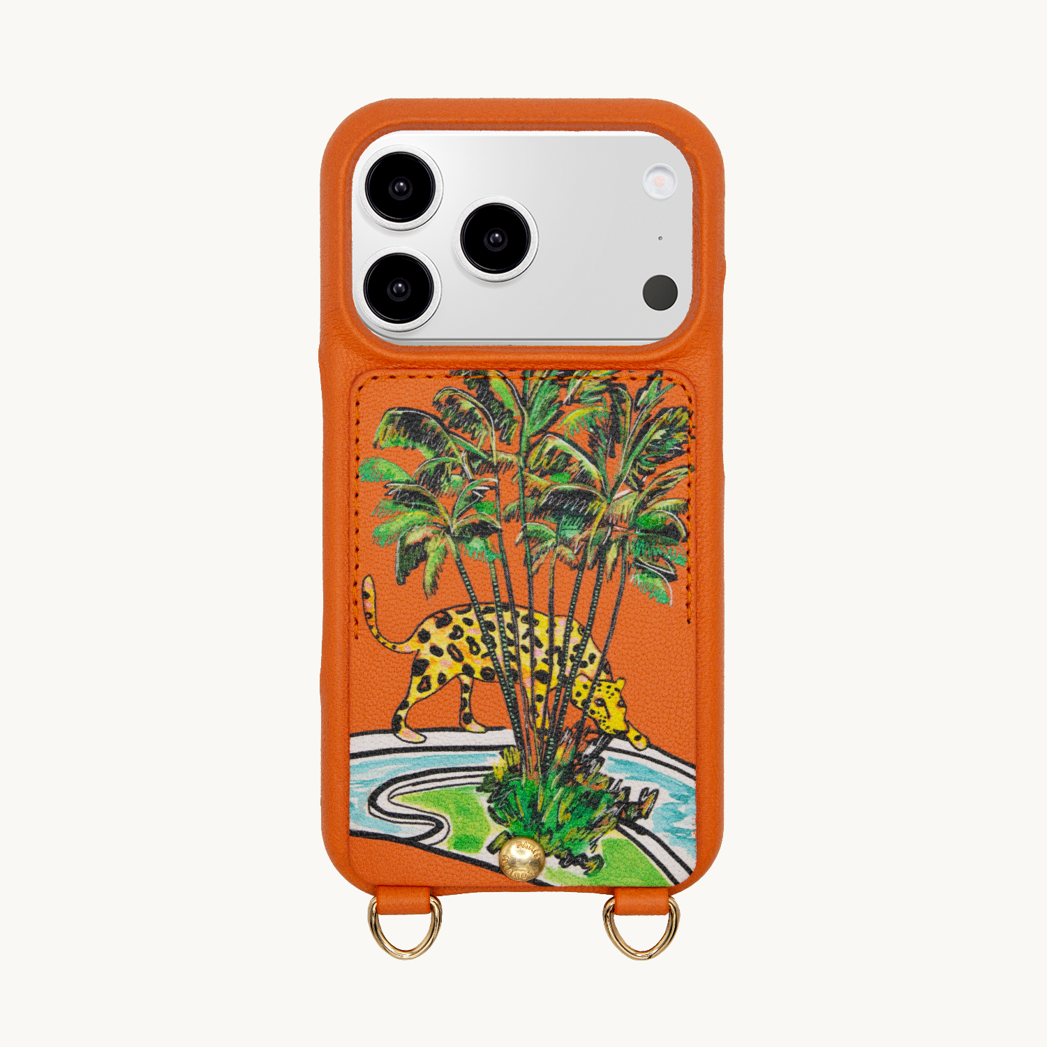 iPhone 17 Pro